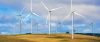Wind turbines creating renewable energy on cattle farm