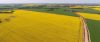 new-norcia