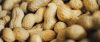 Peanut